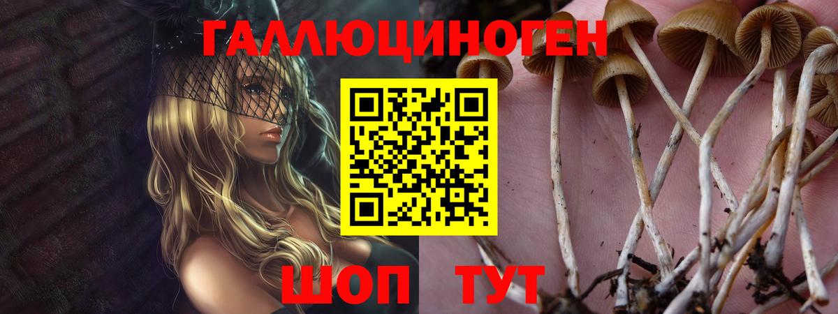 Минусинск  Псилоцибиновые грибы Magic Shrooms  Вход с VPN 